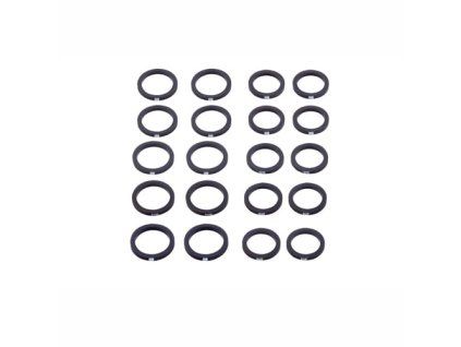 SRAM Kolbendichtungen (10 Stück)