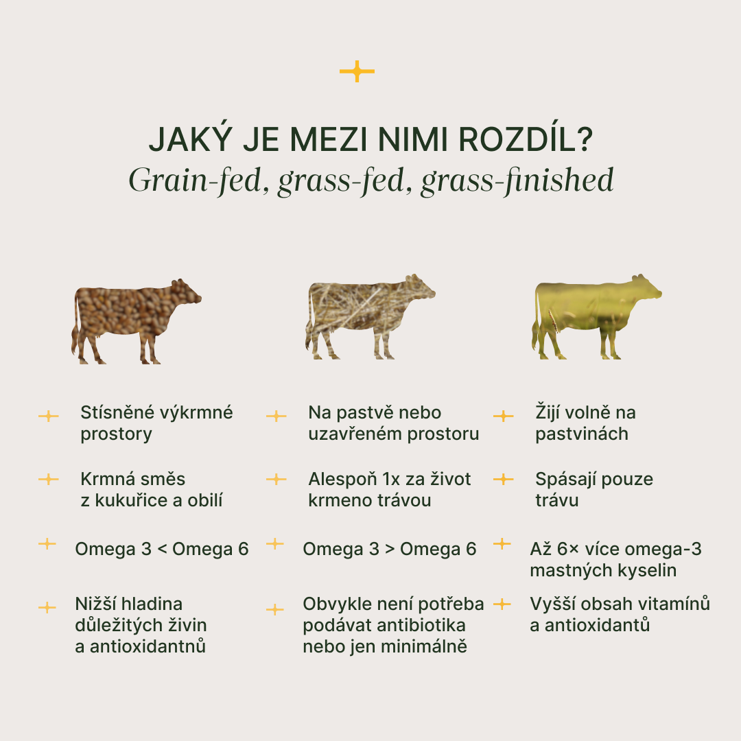 Beef_liver_info_CZ_5