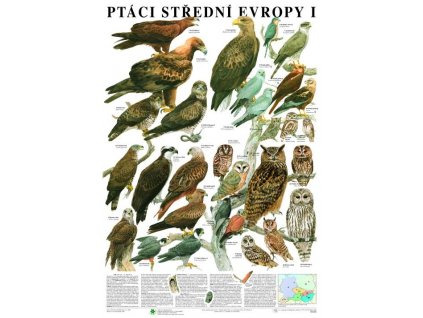 Ptáci střední Evropy I