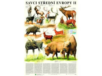 Savci střední Evropy II  - Sudokopytníci