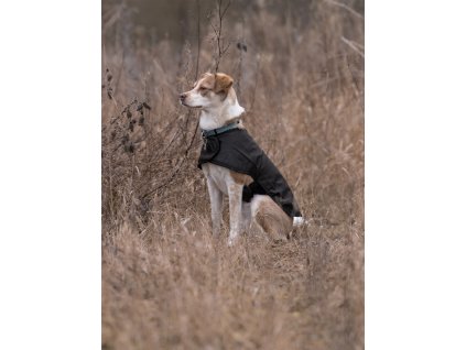 SCIPPIS DriTec Dog Coat – nepromokavý kabát pro psy z DriTec materiálu