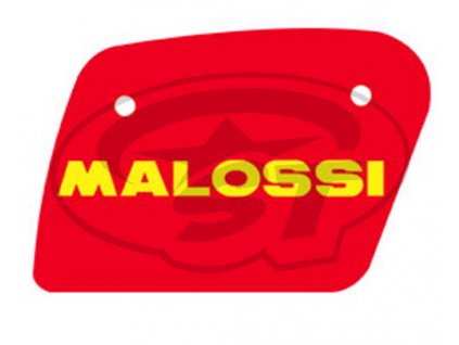 Vložka vzduchového filtru Malossi Red Sponge, Leonardo 125 150 4T LC
