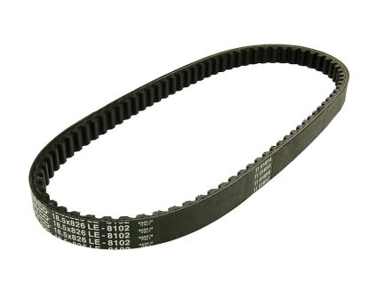 218199 remen dayco aprilia scarabeo italjet torpedo