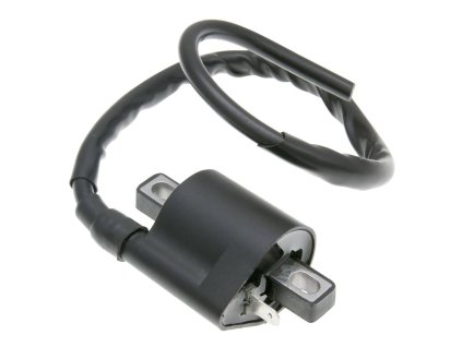 221076 indukcni civka 1 pin
