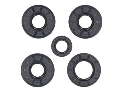 229071 sada gufer motoru puch maxi