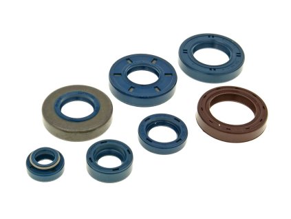 230067 sada gufer motoru minarelli am generic ksr moto keeway motobi ride cpi 1e40ma 1e40mb