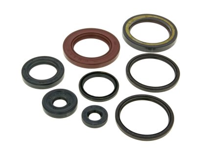 Sada gufer motoru Suzuki AN Burgman 250 1998-2002