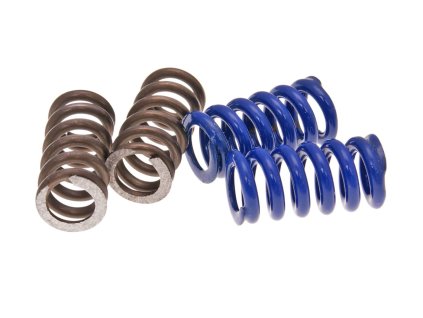 240168 sada pruzinek spojky pro polini speed clutch 2g evo2 2 pary