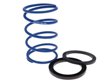 240591 kontrastni pruzina polini s podlozkou evo slider piaggio