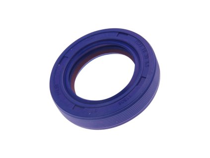 241629 gufero na kliku polini teflon 19x30x7mm piaggio