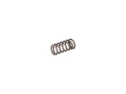 251814 pruzina spojky oem minarelli am6