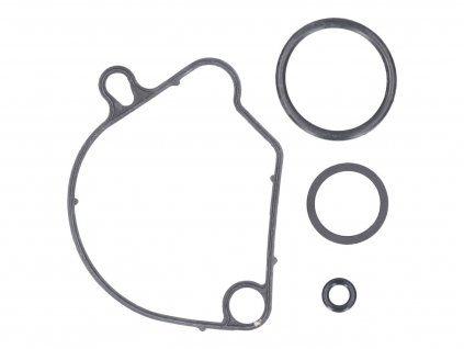 41098 - carburetor gasket set for Honda Wallaroo