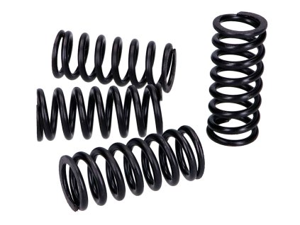 303705 1 sada pruzin spojky top performances yamaha yzf wr 125 yi 3 fantic beta rieju husqvarna