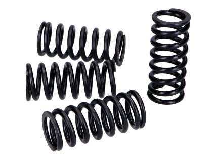 MIN-42486 - clutch spring set Top Performances for Yamaha YZF, WR 125, YI-3, Fantic, Beta, Rieju, Husqvarna