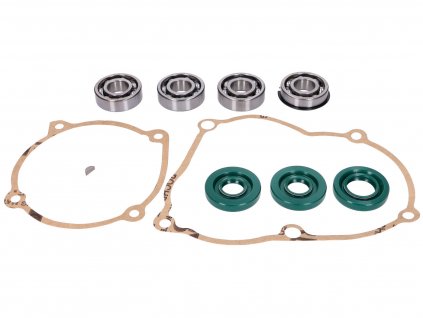 IP44281 - engine gasket and bearing set for Puch Maxi S, N, E50 (old type engine)