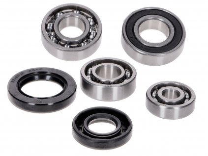 42778 - gearbox bearing set w/ oil seals for CPI Euro2