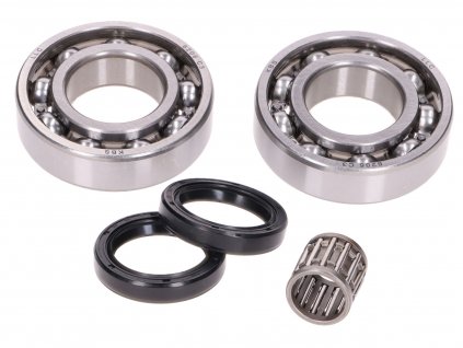 42811 - crankshaft bearing set w/ shaft seals for Rotax 122, 123