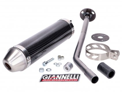 GI-34646HF - Rear silencer Giannelli carbon for Aprilia RX-SX 50 Bj.2006 (Piaggio engine)