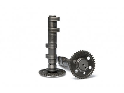 Vačkový hřídel Malossi Double Power Cam, Yamaha T-Max 560 2020-