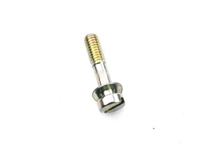 Carburetor screw Dellorto for moped mokick