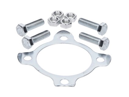 Locking plate with screws for rear sprocket for Hercules Prima
