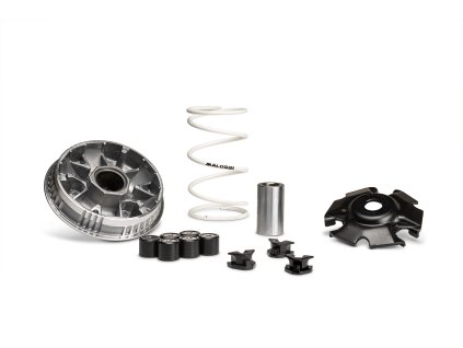 Variátor Malossi Multivar 2000 SYM Jet X 125, Symphony ST 125 Euro 5, Jet 14 125 Euro 5 a Euro 5+
