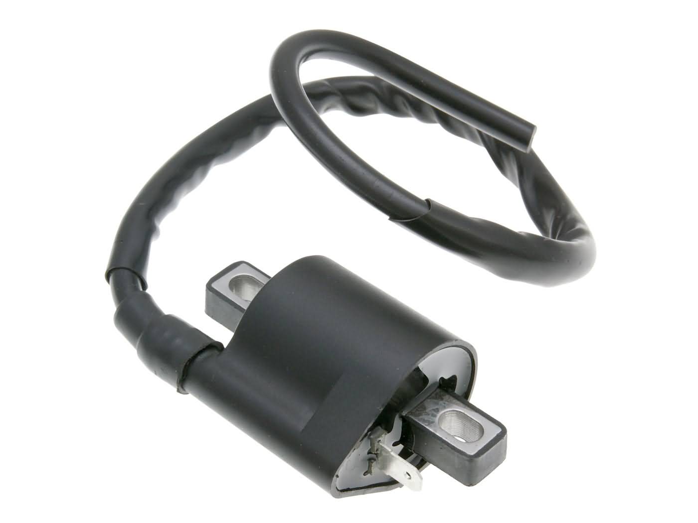 101 Octane Indukční cívka 1 pin 16778