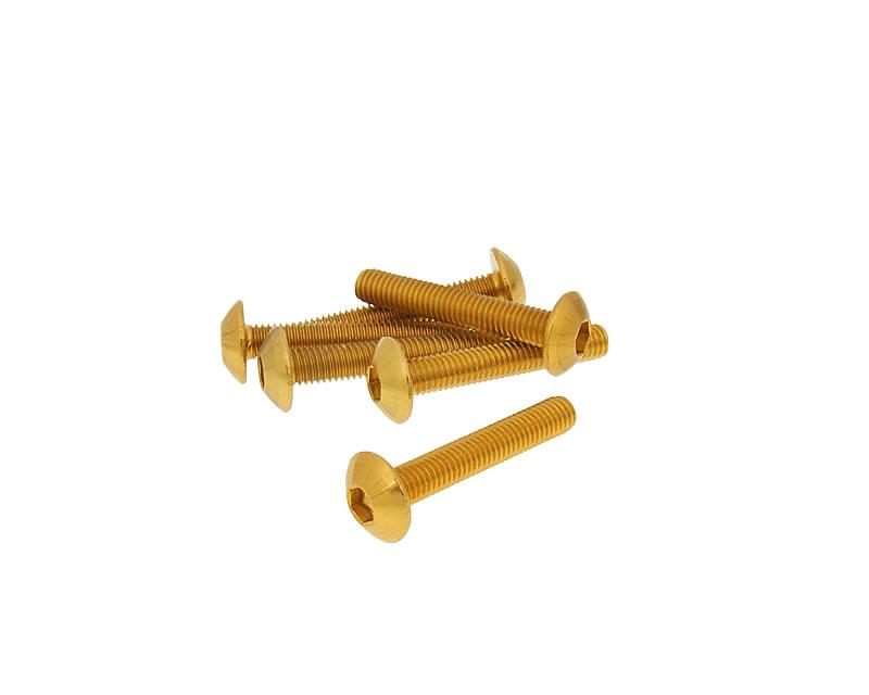 Vparts Sada šroubů 6ks inbus na plasty zlatá - M5x30 VC21235