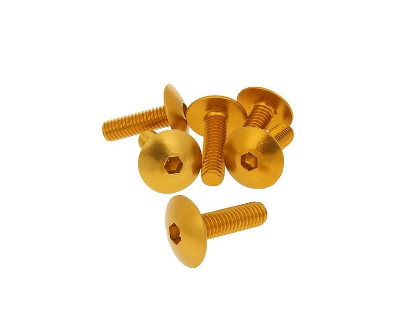 Vparts Sada šroubů 6ks inbus na plasty zlatá - M6x20 VC21243