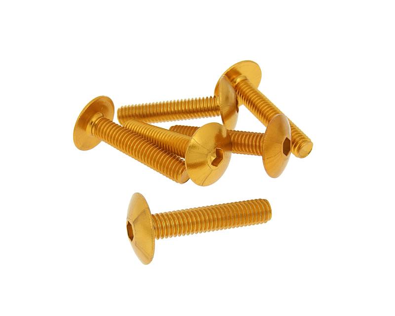 Vparts Sada šroubů 6ks inbus na plasty zlatá - M6x30 VC21247