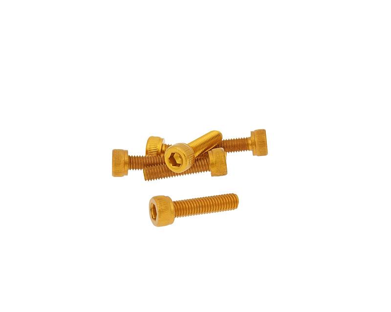 Vparts Sada šroubů 6ks inbus zlatá - M5x20 VC21271
