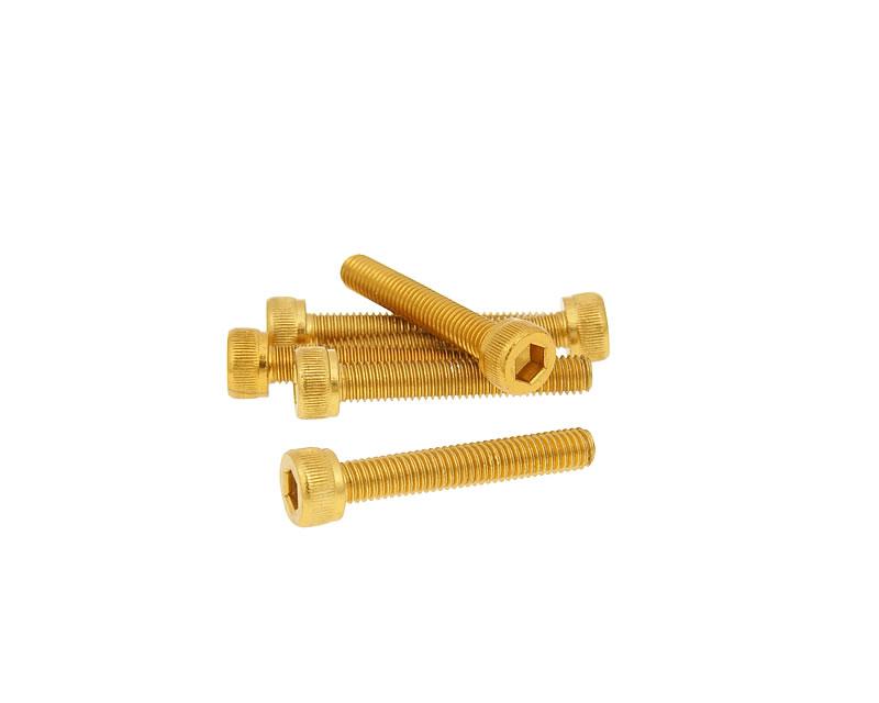 Vparts Sada šroubů 6ks inbus zlatá - M5x30 VC21275