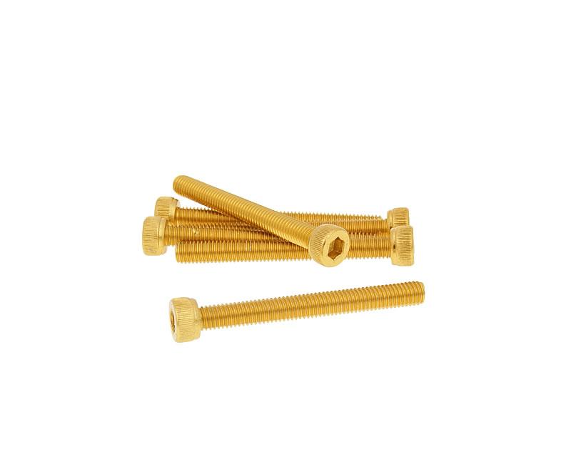 Vparts Sada šroubů 6ks inbus zlatá - M5x45 VC21279