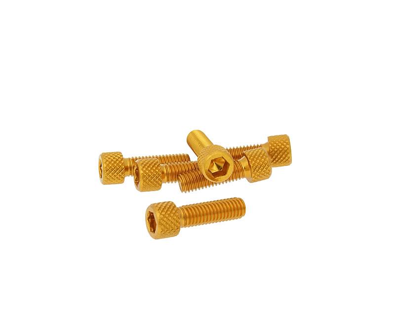 Vparts Sada šroubů 6ks inbus zlatá - M6x20 VC21283