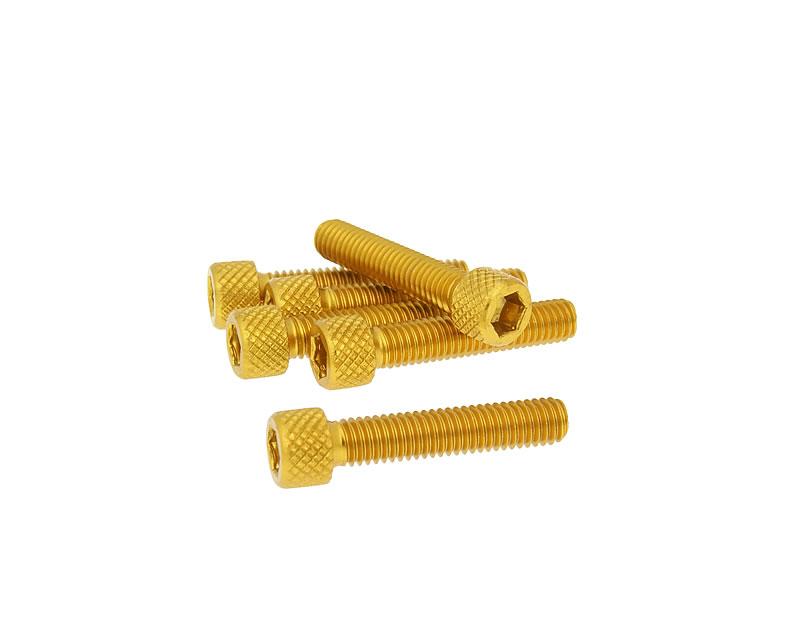 Vparts Sada šroubů 6ks inbus zlatá - M6x30 VC21287