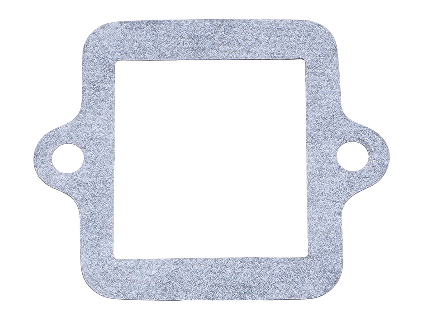 101 Octane Těsnění klapek Piaggio, Peugeot horizontal IP32901