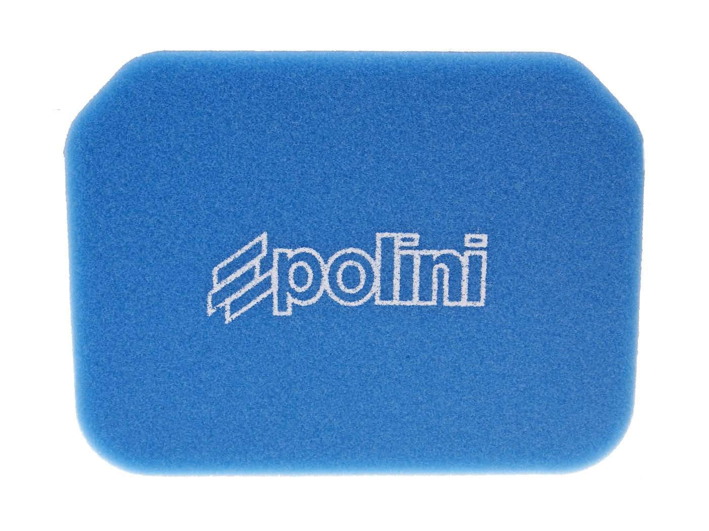 Polini Vložka vzduchového filtru Polini, Suzuki Burgman 250, 400 -2006 P.34783