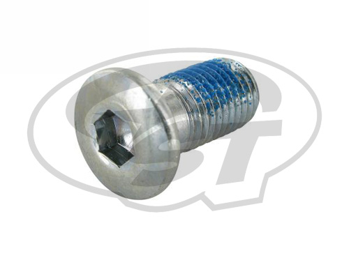 Motoforce Metrický šroub Varianta: M10x1,25x15 brzdový kotouč MF96.90035