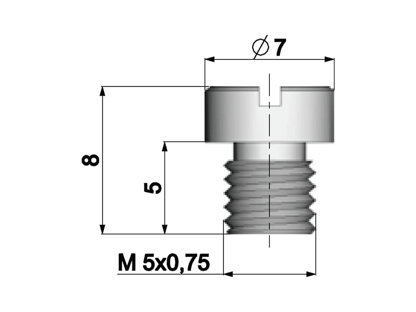 Levně Tryska Polini M5 x 0,75 Varianta: 76 360.1076