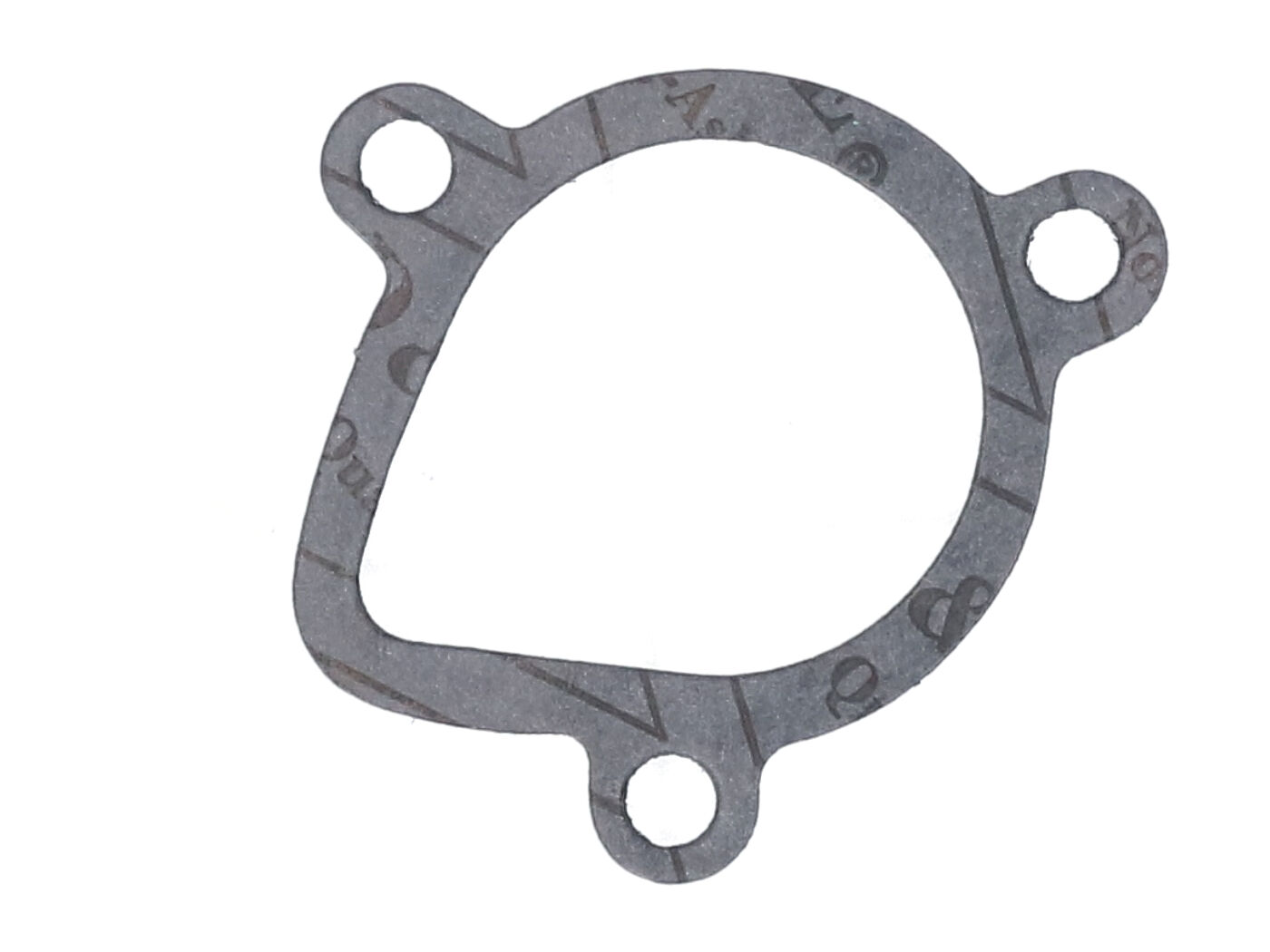 OEM Standard Těsnení vodní pumpy, Derbi EBE, EBS 42208