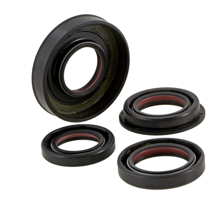 Malossi Sada gufer MALOSSI, FKM/PTFE, MINARELLI 50ccm 2T AC/​LC M6615754