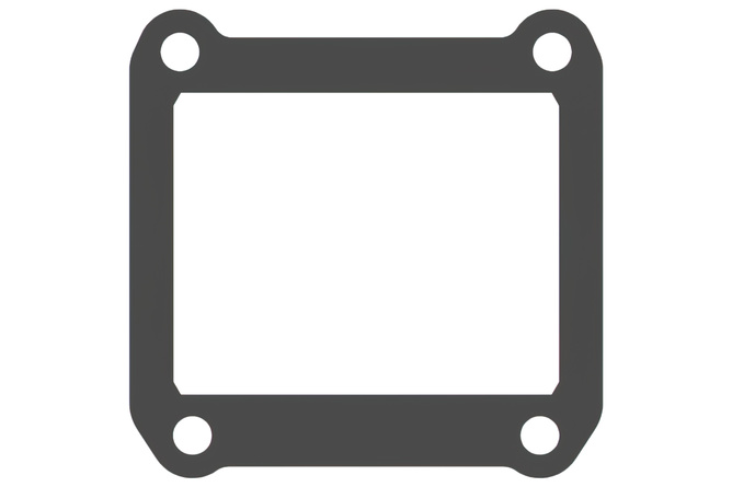 V-Force Těsnění klapek V Force (V4R26)