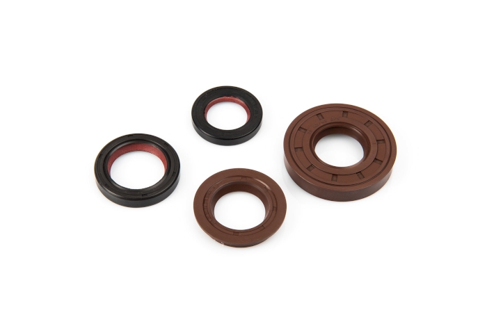 Sada gufer motoru Malossi FKM / PTFE, Minarelli AC / LC 6619160