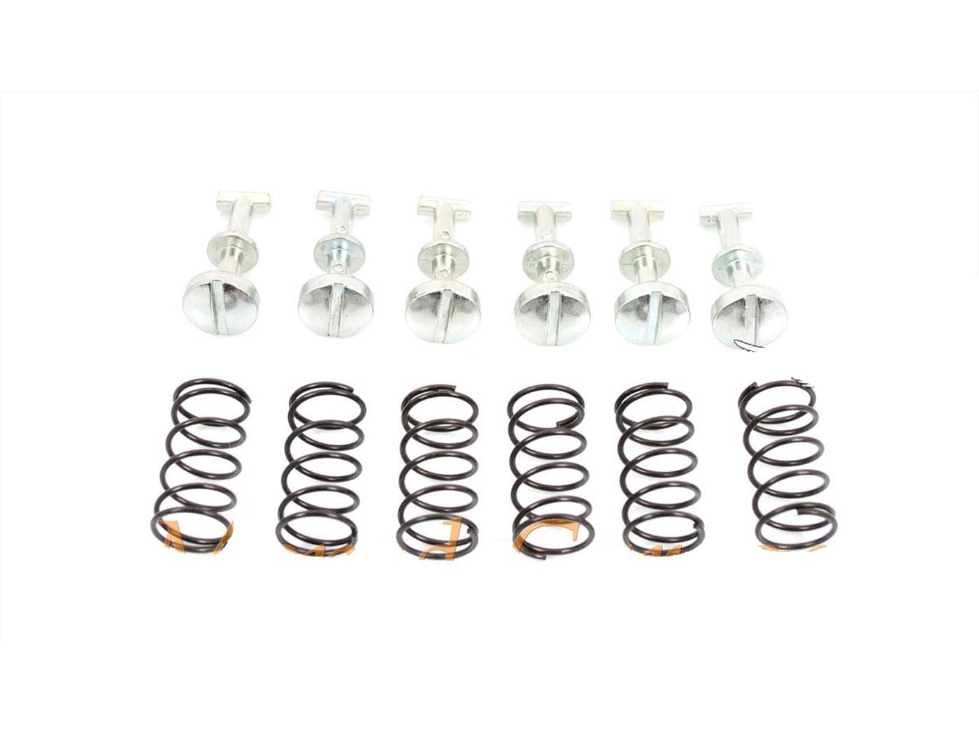 Diverse / Import Šrouby bočního krytu s pružinami, 12dílná sada, pro Piaggio SI, SI FL, Bravo MG00073337