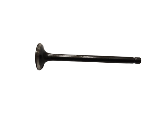 Ventil výfukový OEM Honda CRF 100, NSF 100, XR 100 14721176000