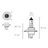Žárovka Halogen H4 P43t 12V 60/55W