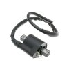 221076 indukcni civka 1 pin