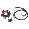 Stator zapalování Kymco DJ 50, Fever ZX, Curio 50, KB50, SYM Fancy 50