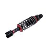 Tlumič RDR racing 290mm