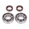 325470 sada lozisek a gufer klikoveho hridele naraku skf fkm premium c4 kovova klec peugeot horizontal